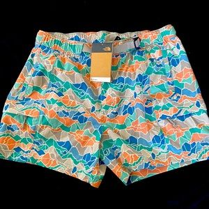 The North Face Class 5 belted shorts